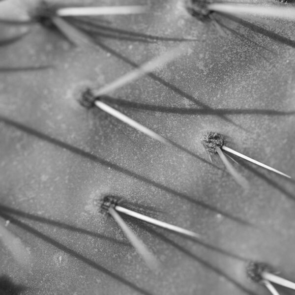 Tubeless Tyre Repair Strings